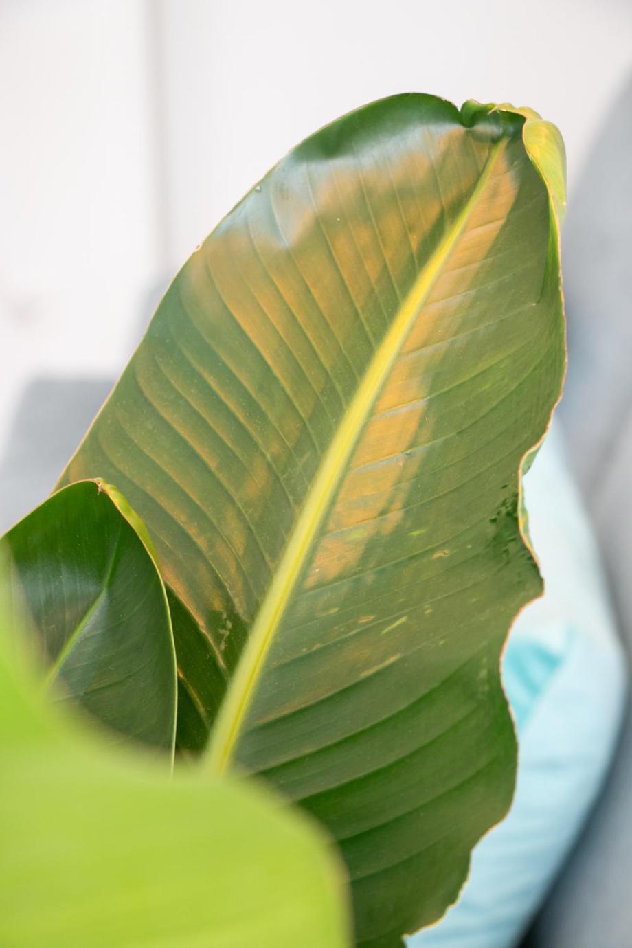Special Einstein Iiv Apartment, Messe Kleinbasel 10-Star エクステリア 写真